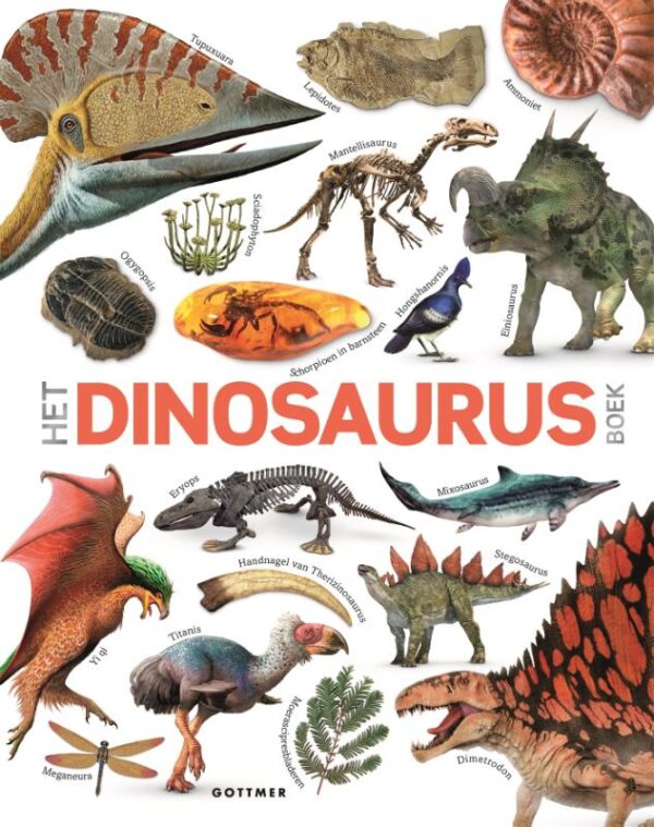 Het dinosaurusboek - Afbeelding 1