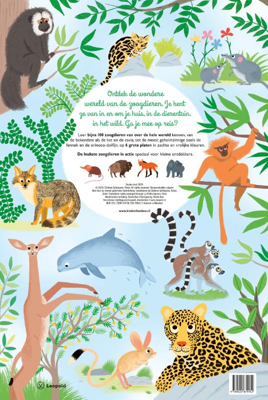 Mijn grote reis om de wereld ZOOGDIEREN - Afbeelding 2
